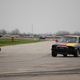 Illustration for article titled The 24 Hours Of LeMons Texas Gator-O-Rama Über Gallery: The Europeans